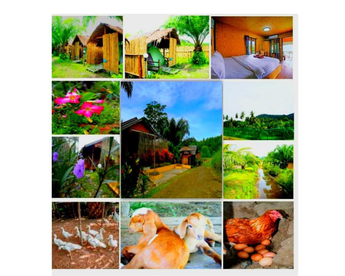 Yaoisland Resort And Farm เกาะยาวใหญ่ ภายนอก รูปภาพ