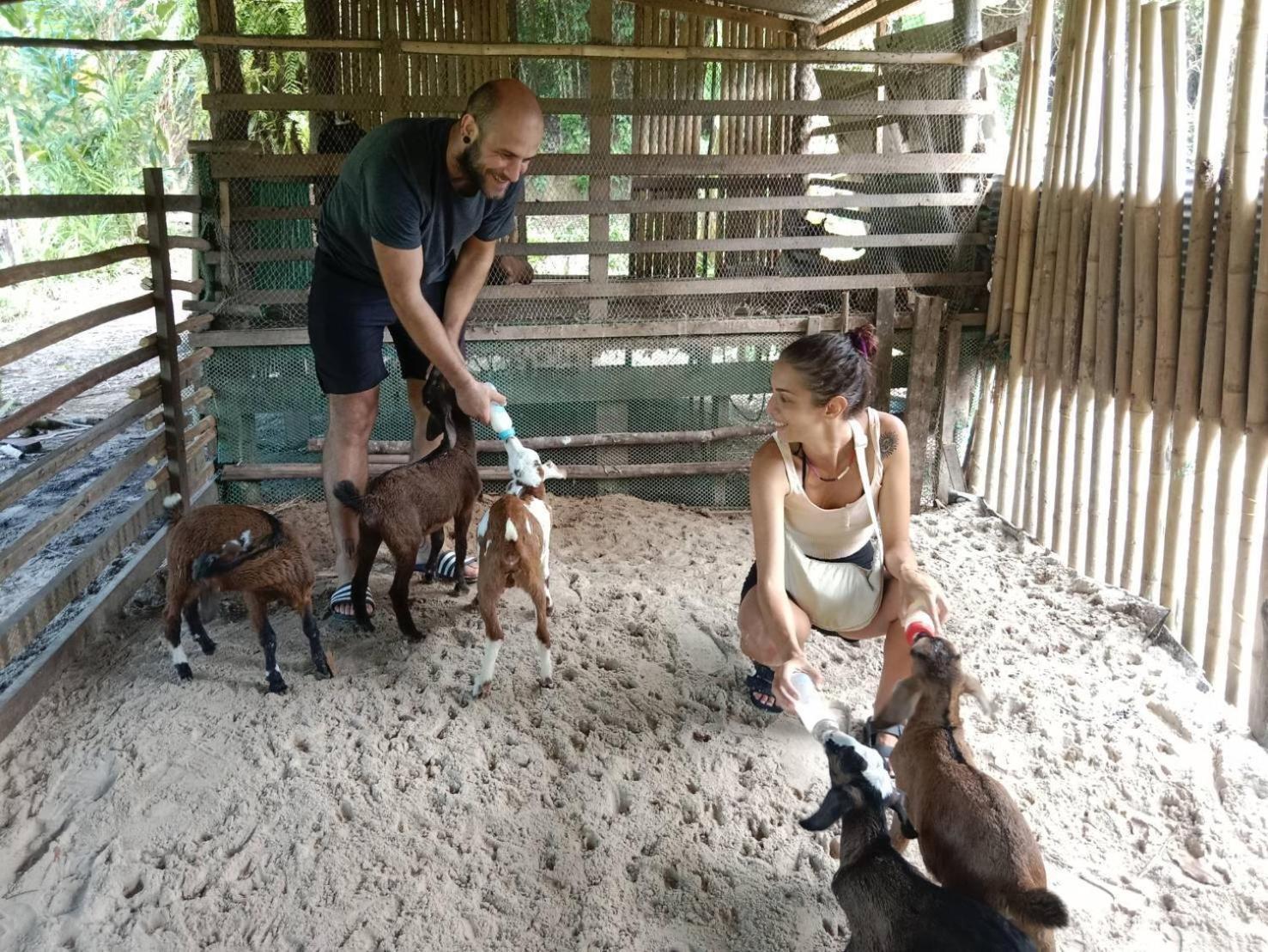 Yaoisland Resort And Farm เกาะยาวใหญ่ ภายนอก รูปภาพ