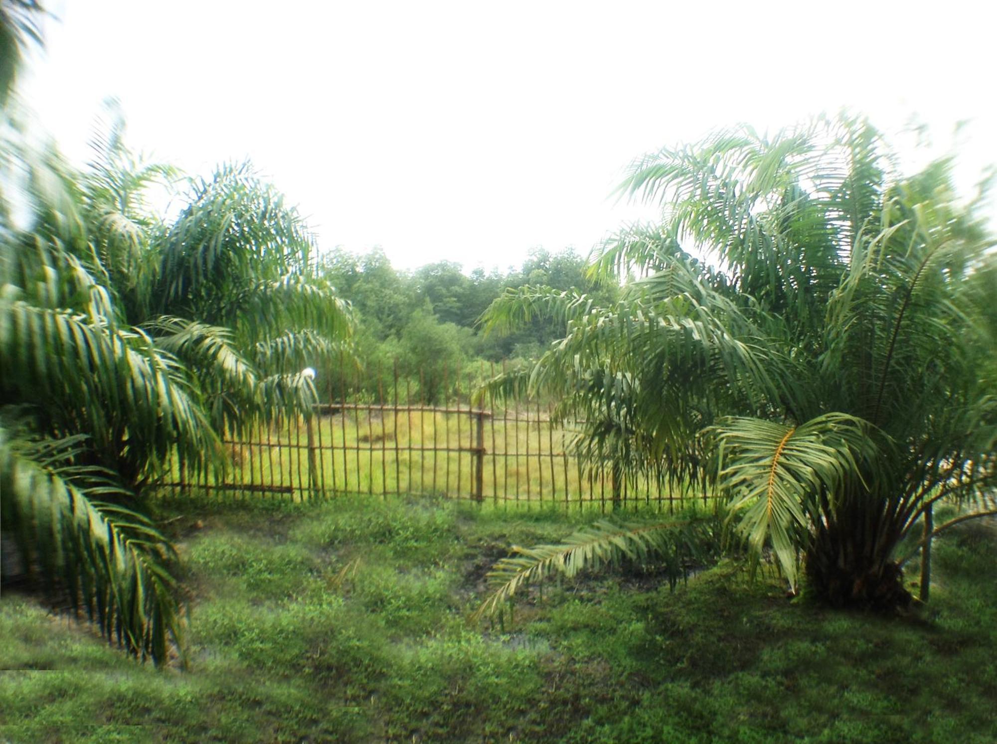 Yaoisland Resort And Farm เกาะยาวใหญ่ ภายนอก รูปภาพ