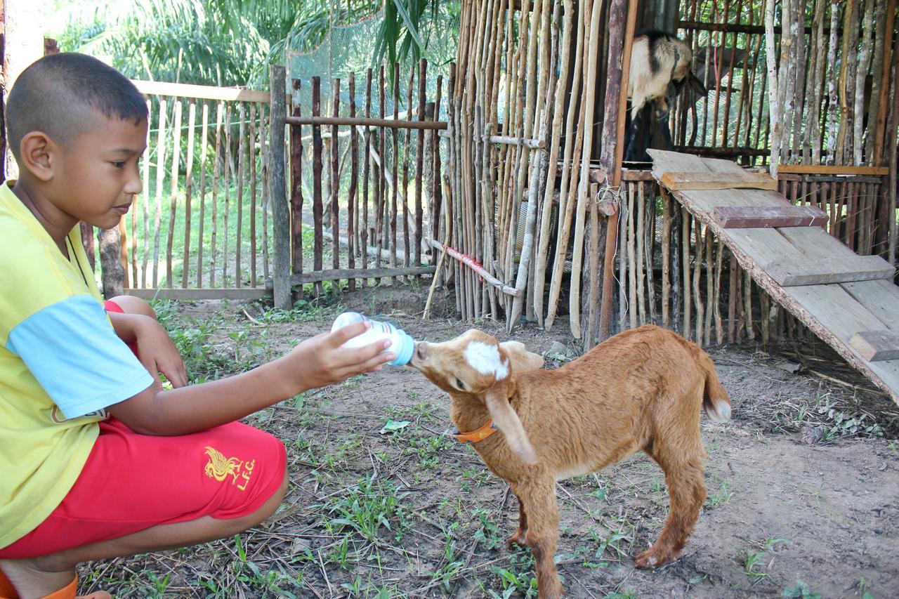 Yaoisland Resort And Farm เกาะยาวใหญ่ ภายนอก รูปภาพ