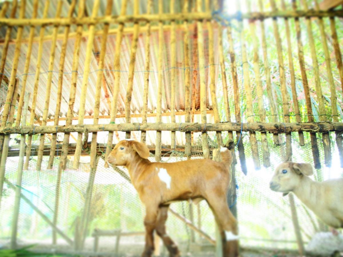 Yaoisland Resort And Farm เกาะยาวใหญ่ ภายนอก รูปภาพ